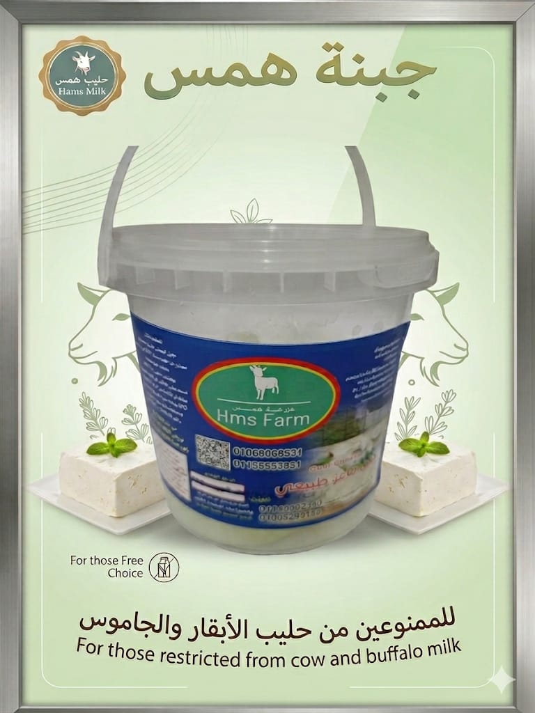 جبنة الماعز البيضاء